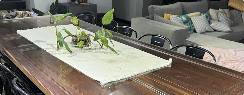 imagen (8) imagen (8)